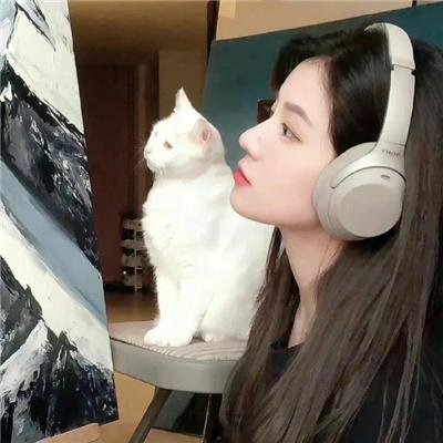 我的秘书为什么这样